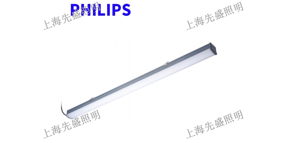 浙江新品LED支架燈,LED